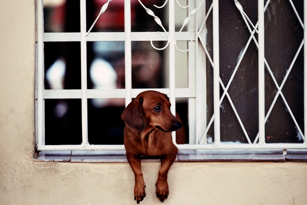 Belajar Membuat Website