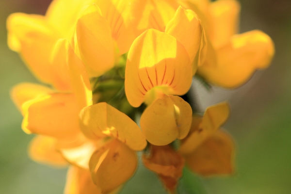  you are going to use a passag