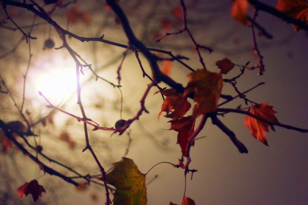 Artikel paling banyak dilihat